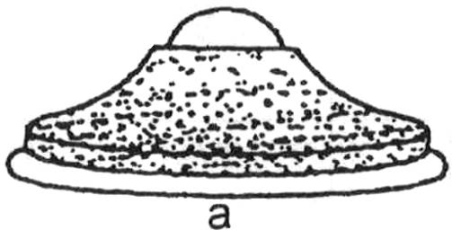 117