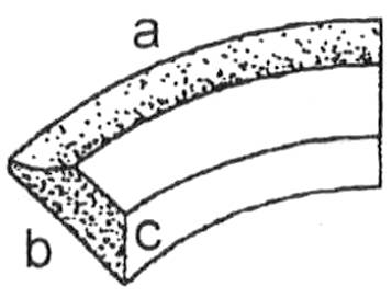 123