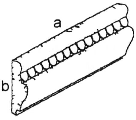126